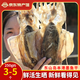 海鮮頌淡曬墨魚干烏賊目魚干海產(chǎn)品福建特產(chǎn)海鮮干貨 煲湯食材年貨送禮 【本港】250g/約3-5只