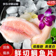 鯛魚(yú)片羅非魚(yú)生鮮魚(yú)類(lèi)海捕鮮活冷凍火鍋燒烤食材源頭直發(fā)真空包裝 六袋裝