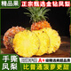 果益壽正宗金鉆鳳梨 當季新鮮爆甜手撕金菠蘿香水果云南整盒節日送禮 凈重4.5-5斤 嘗鮮級 約2-4枚