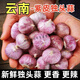 獨頭蒜紫皮云南2025新蒜 云南獨頭紫皮獨頭蒜2025紅皮農(nóng)家獨蒜批 35mm(含)-40mm(不含) 特大果 5斤 凈重5斤