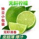 無(wú)籽青檸檬 泰國品種小青檸 新鮮水果 5斤 約35-60個(gè)【單果40-70g】