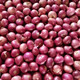 精選正宗紅蔥頭紫皮獨頭蔥小洋蔥笨小圓蔥毛蔥 1kg 中-號-果(3-4cm)