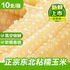 東北白糯玉米甜糯粘玉米真空裝非轉(zhuǎn)基因黏苞米粗糧代餐 白糯玉米10棒（150-200g）