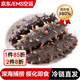 蓮山九鮮即食海參大連鮮活野生刺參海生海叁海滲獨立包裝年貨 即食海參 500g 凈重【20-30只】