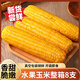 良識玉水果玉米開袋即食免煮飽腹代餐零食真空包裝學(xué)生營養(yǎng)早餐 水果玉米8支