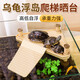 智宙烏龜曬臺高水位魚缸造景漂浮臺龜爬架曬背島龜缸露臺巴西龜爬臺 【仿生態(tài)烏龜曬背臺】 18.5*15*22.5cm