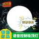 艾米邇智能語(yǔ)音吸頂燈led燈臥室吸頂燈超薄護(hù)眼聲控?zé)舾袘?yīng)燈廚房吸頂燈 語(yǔ)音控制款-三色光-27CM