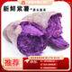 騎猴趕馬新鮮紫薯當(dāng)季精品紫薯地瓜軟糯香甜健康輕食生鮮蔬菜紫薯 5斤 | 性價(jià)比高【單果6兩+】 凈重4.5斤 【源頭直采】
