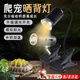 烏龜曬背燈uvb燈巴西龜守宮照背燈加熱燈曬龜燈烏龜補(bǔ)鈣日光燈 黑色長款彎曲曬背燈+50W燈泡