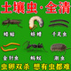 蔬菜花盆土壤殺蟲劑無毒長效防蟲顆粒菜園土里地下害蟲全殺專用藥 防蟲片*1瓶*防土里的蟲）