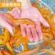 黃金泥鰍苗觀賞魚冷水魚淡水魚小金魚耐清道夫魚苗泥鰍魚 黃金泥鰍3-5cm4條(包活3條)