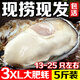【鮮活】乳山生蠔牡蠣即食貝類(lèi)乳山源頭大蠔千人購買(mǎi) 灰色 鮮活肥美三兩五斤裝新疆西藏不發(fā)