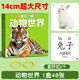 開(kāi)心寶貝動(dòng)物認知卡片寶寶早教嬰幼兒看圖識物訓練書(shū)兒童識字閃卡全套 【14cm撕不爛大卡】動(dòng)物世界48張