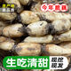 【品鮮紀】現挖小脆藕嫩藕當季新鮮蔬菜清炒涼拌火鍋食材清脆爽口 脆爽品質(zhì)不脆包賠現挖現發(fā)不漂白 上端脆藕凈重1斤