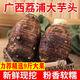 廣西荔浦大芋頭現挖檳榔芋紫藤毛芋粉面香甜香芋火鍋食材新鮮蔬菜 5斤大果【單果500g起】