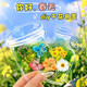 舒星40張干花書(shū)簽標本塑封膜瓶子里的春天收集手工diy材料小學(xué)生透明玻璃瓶制作花朵樹(shù)葉粘貼畫(huà)禮物