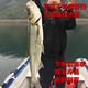 正宗千島湖魚翹嘴魚野釣野捕白水魚新鮮活淡水刁子魚大翹殼魚整條 2斤/條 活魚現(xiàn)殺真空冰鮮順豐全國包郵