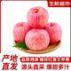 京愿  山東煙臺(tái)紅富士蘋(píng)果棲霞脆甜紅富士新鮮生鮮平果時(shí)令蘋(píng)果水果 5斤【80-85mm】?jī)糁?.5斤