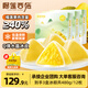 榴蓮西施榴蓮冰粽 水晶粽子 高端團(tuán)購送禮端午節(jié)禮盒冰皮 40%榴蓮果肉甜粽 【送禮無憂】蘇丹王冰粽40g*12枚