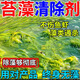 魚池除藻去苔劑水池青苔清除劑魚塘凈水除綠水堿油膜青苔褐藍(lán)藻 1瓶裝小面積使用