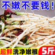 黃六爺 折耳根新鮮魚腥草豬鼻孔當(dāng)季野蔬菜嫩芽根葉貴州涼拌下飯菜即食 【1斤裝】新鮮超嫩丨不嫩包賠
