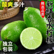 新鮮檸檬香水青檸檬水果批發(fā)皮薄榨汁酸爽多汁 1斤裝【酸爽多汁小果】 【飲品店專用】