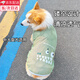 山頭林村比熊泰迪柯基柴犬狗狗衣服2024新款春夏天薄款背心防掉毛外出防臟 2XL 胸圍55建議14-20斤