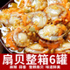 香辣蒜蓉扇貝肉罐頭麻辣小海鮮八爪蛤蜊肉網(wǎng)紅零食批發(fā)下飯菜e 麻辣扇貝肉*4灌