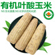 諸氏橙品【有機(jī)】玉米 甜糯高葉酸玉米 東北非轉(zhuǎn)基因真空玉米棒 孕婦玉米 【有機(jī)葉酸玉米】 240g*10根