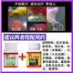 快康牌日本黃粉錦鯉金魚用慶大土霉素驅(qū)蟲白點(diǎn)水霉?fàn)€肉爛尾腸炎觀賞魚藥 黃粉1瓶+慶大1瓶