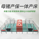牧洛豐母豬產(chǎn)床保育床一體單體雙體復(fù)合產(chǎn)床豬用分娩床養(yǎng)豬設(shè)備 高配熱鍍鋅雙體產(chǎn)床拼板2.2*3.8m