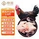 京覓跑步雞系列 狀元大公雞 2.8斤 京東養(yǎng)殖基地散養(yǎng)高品質(zhì)黑腳土公雞