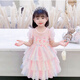 佐緋絡(luò)女童夏天2024艾莎七彩虹公主連衣裙女孩洋氣蓬蓬表演裙 粉紅色 (不皇冠魔法棒) 100 建議身高95cm左右