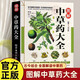圖解中草藥大全