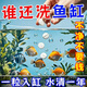 魚(yú)缸凈水片除氯凈化水質(zhì)澄清澈除臭去腥水族箱魚(yú)池清水養魚(yú)凈水劑 一瓶裝【養魚(yú)必備用品】