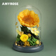 AMYROSEAMYROSE向日葵永生花太陽(yáng)干花束母親節生日禮物送女生朋友媽媽