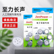 西萬博人工耳蝸專用電池電子至力A675P澳大利亞科利爾耳奧地利助聽器 至力A675P（1盒）