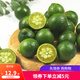 籃子掌柜海南青金桔現(xiàn)摘小金桔新鮮水果奶茶店金桔檸檬 1斤裝【單果7g+】