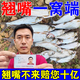 翹嘴小藥釣魚餌料黑坑野釣專攻釣大翹嘴白條魚專用餌料誘魚開口劑 1瓶【翹嘴狂提】新手也能爆護(hù)