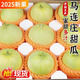 文枝正宗馬連莊甜瓜5斤當季現摘脆甜小香瓜綠寶甜瓜新鮮水果孕婦包郵 3斤 【嘗鮮裝】甜蜜多汁，試吃嘗鮮
