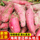 有鮮氣【源頭直發(fā)】海南澄邁橋頭地瓜 富硒紅薯沙地種植 長壽之鄉(xiāng)特產 凈重3斤 普通快遞 手指果