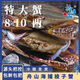 拾鮮生 梭子蟹活凍舟山特大野生螃蟹 冷凍海蟹海鮮水產 3斤梭子蟹8兩-1斤/只 源頭直發(fā)