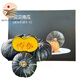 貝貝南瓜 香甜板栗小南瓜 新鮮當季生鮮蔬菜 榆農尚品 貝貝南瓜 4.5斤 禮盒裝