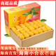 憶京源海南小臺農(nóng)芒果 當(dāng)季熱帶新鮮水果 現(xiàn)摘純甜核薄黃皮甜心芒臺芒 9斤精選特大果