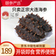 頤參嚴(yán)選正宗即食海參500g 鮮遼參 固形物≥75% 開(kāi)袋可吃 口感勁道營(yíng)養(yǎng)佳 1斤【13-18只大連海參】
