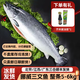 嘗鮮生 冰鮮挪威三文魚整條（大西洋鮭）10-12斤刺身/整條三文魚 冰鮮整條凈重 5kg -6kg分切請留言