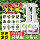 皎潔梔子花通用殺蟲(chóng)劑花卉殺蟲(chóng)藥盆栽室內家用除蟲(chóng)綠植驅蟲(chóng)花草非殺菌 2瓶
