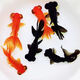 觀(guān)賞魚(yú)龍睛金魚(yú)淡水招財大眼睛魚(yú)苗鴻運當頭鶴頂紅紅獅冷水魚(yú)耐活 大眼睛龍睛4-5cm2條送備損1條