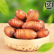 溪味道東北特產(chǎn)遼寧柞樹(shù)蠶蛹新鮮活蛹個(gè)大黑蟬蛹黃繭蛹大繭蛹500g 大黃蛹[一斤約45頭] 500g