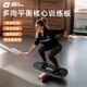 美國RAYNIGEL平衡板滑雪訓練沖浪成人核心健身練習專業(yè) 多向平衡板
